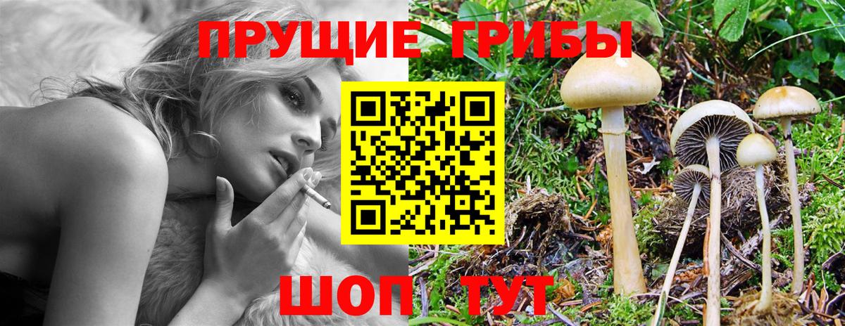 Галлюциногенные грибы мицелий Находка