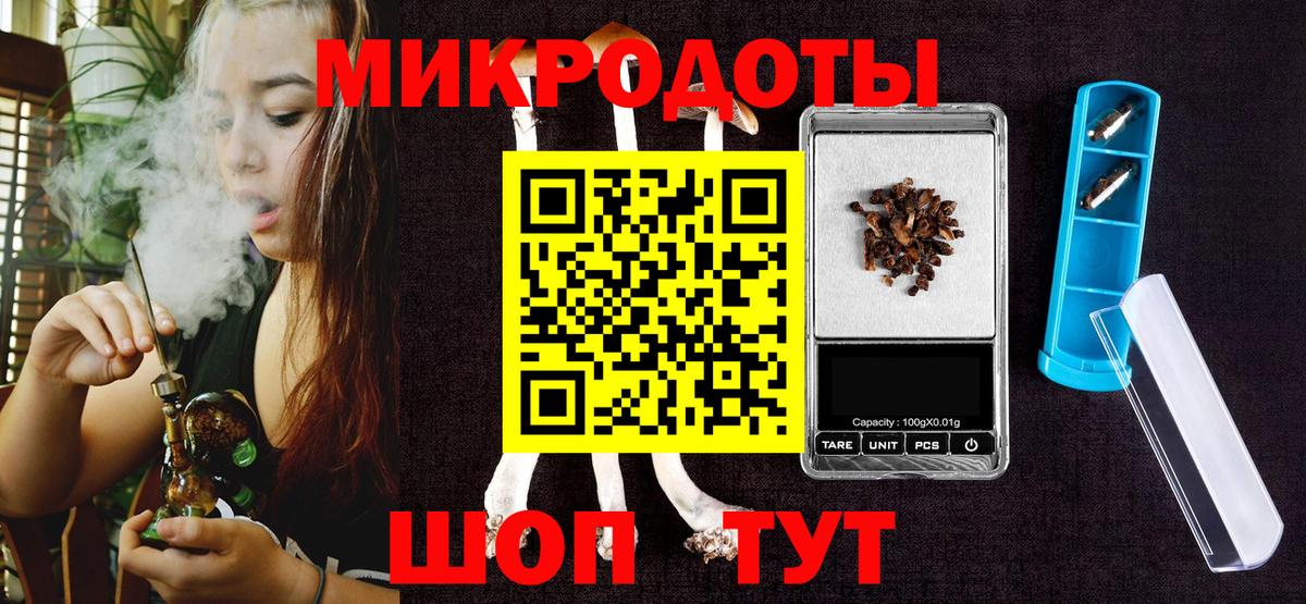 Находка  Галлюциногенные грибы Psilocybine cubensis  Вход с VPN 
